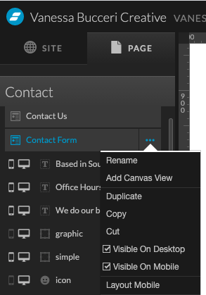 How to add a canvas view in Showit.